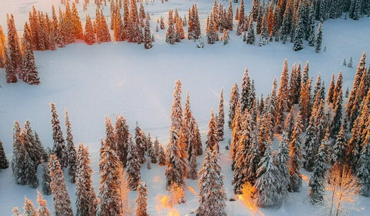 Winter Solstice— Saturnalia, Light of Winter, Standing Still Sun... A DIY Winter Solstice for 2020