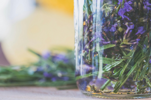 The Blissful Benefits of Rosemary: Nature’s Little Healer